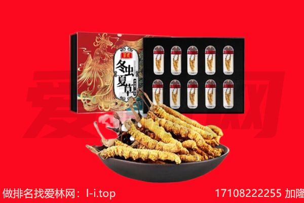 河池回收虫草.jpg